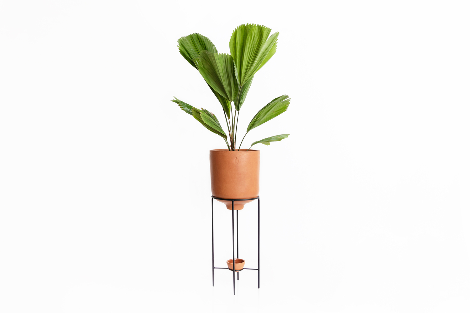 Maceta pivote mediana 50